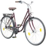 BBF Lille Shimano Nexus i3